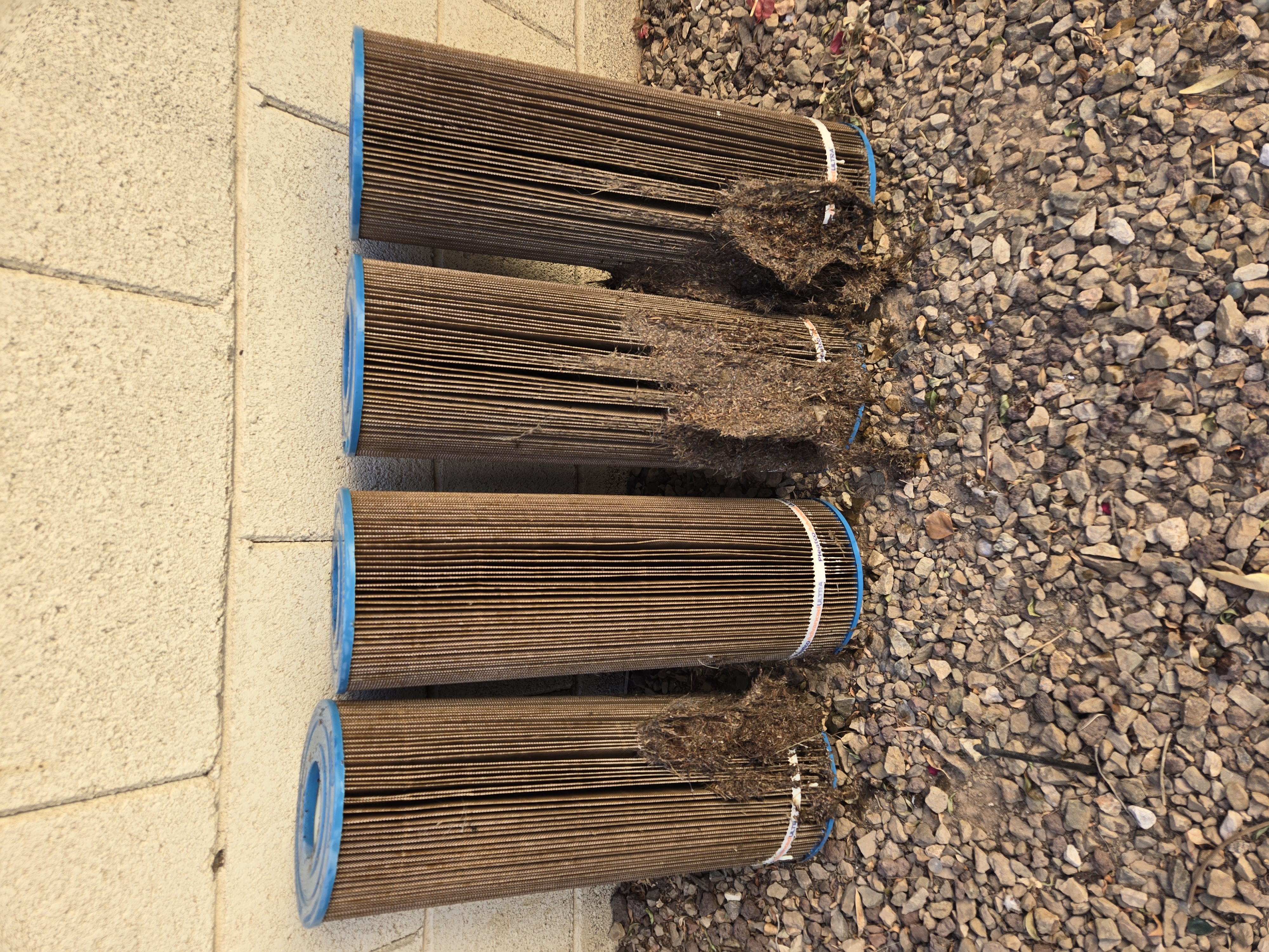 Pool cleaning service