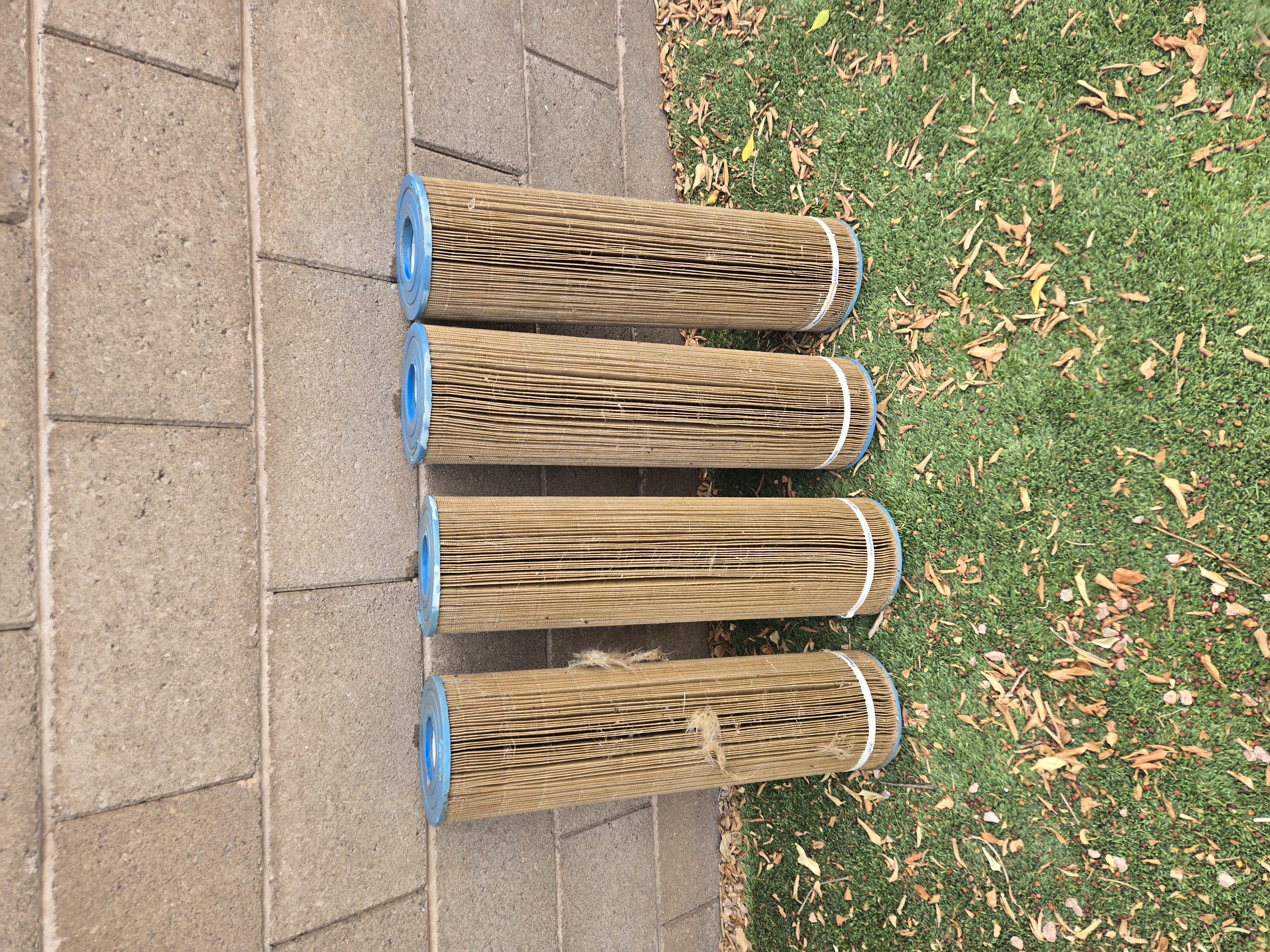 Pool service Mesa