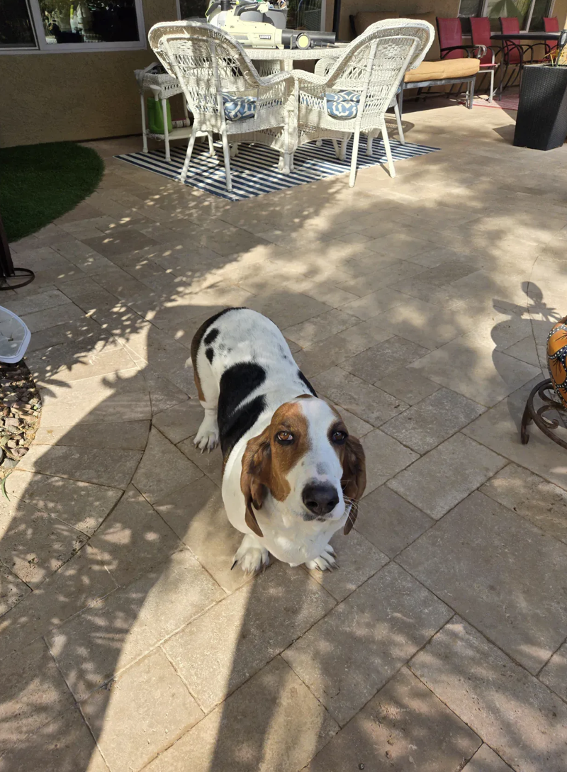Pool cleaning Arizona
